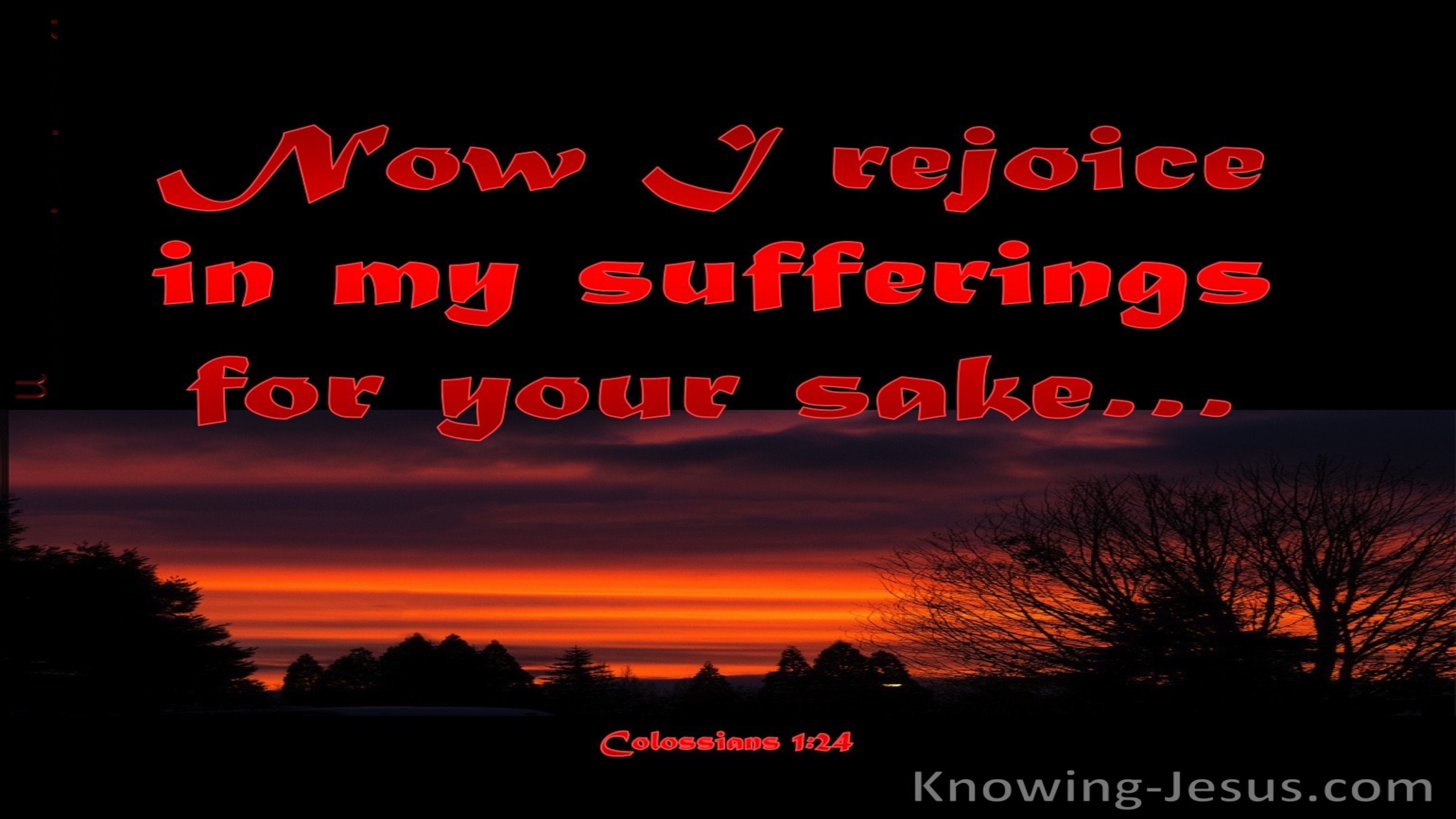 Colossians 1:24 Rejoice in Suffering (red)